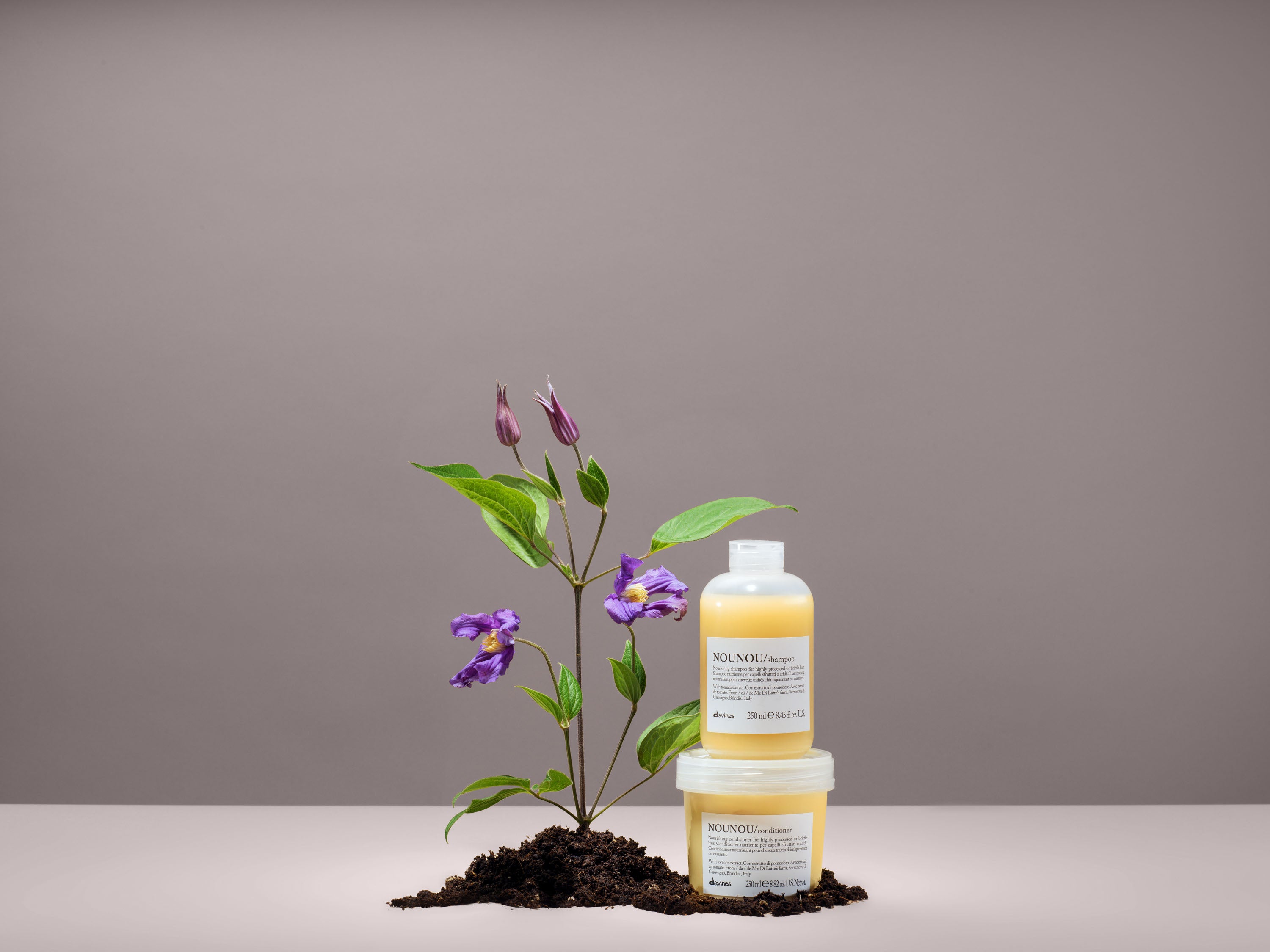 NOUNOU BAROJOŠAIS ŠAMPŪNS BOJĀTIEM UN TRAUSLIEM MATIEM